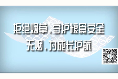 鸡巴插入小穴的视频在线观看拒绝烟草，守护粮食安全